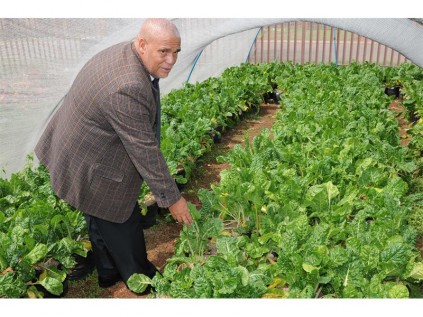 EVER GROWING: The food garden established at the school through this partnership, now also provides for the community.