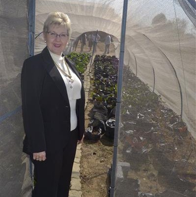 VEGETABLE TUNNEL: Jacob's Well has two tunnels out of which 70 families have benefitted thus far. Estelle Bickerton, the secretary of Jacob's Well is seen standing in one. 