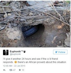 euphoniktweet-290x300