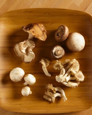 Variety of fresh mushrooms