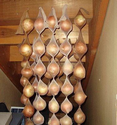 a0df4e0dc79936f0bb1b0c65f81375da