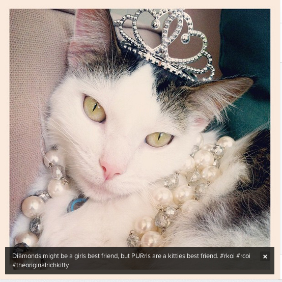 enhanced-buzz-1386-1349474666-0