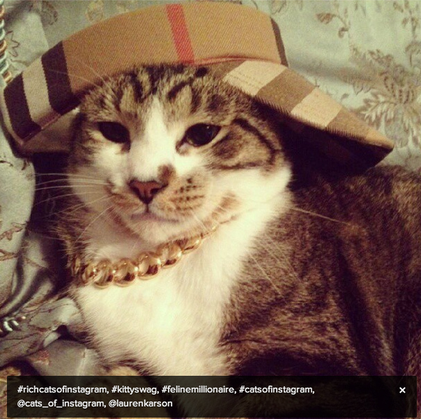 enhanced-buzz-26971-1349472635-5