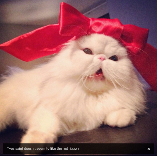 enhanced-buzz-7606-1349475232-20