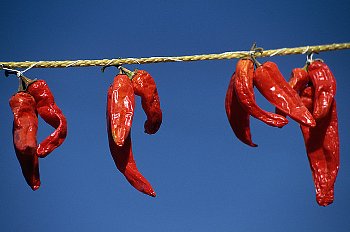 © Copyright 2010 CorbisCorporation