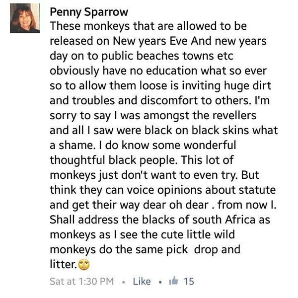 penny sparrow original post
