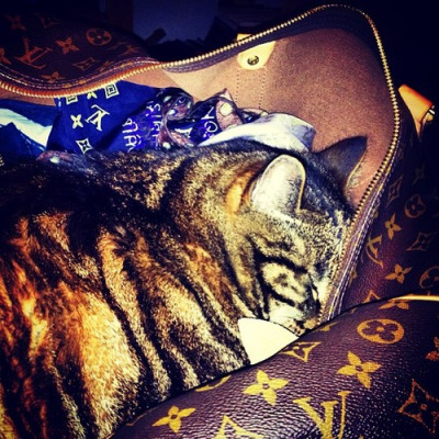 tumblr_ml1yc8QHAb1rc6h4do1_400