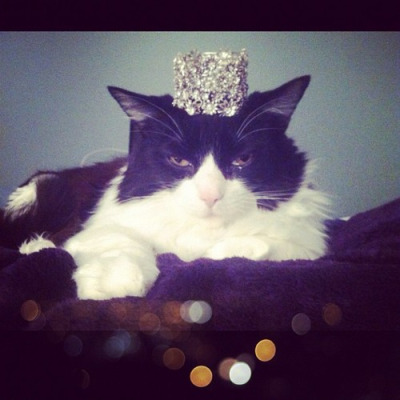 tumblr_muimkg5FZc1rc6h4do1_400