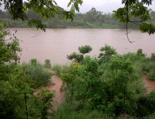 crocodile river 2000