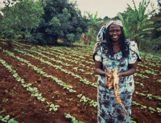 Kenyan activist Wangari Maathai