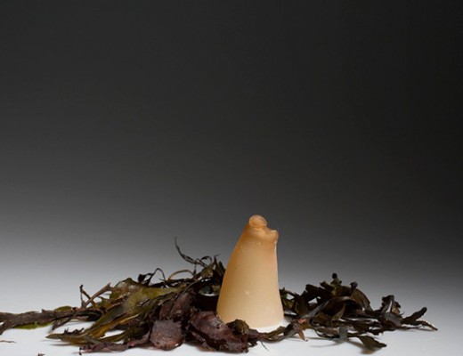 water-bottles-emgn-6