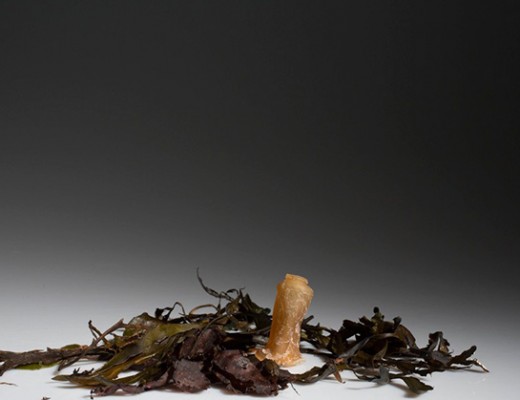 water-bottles-emgn-8