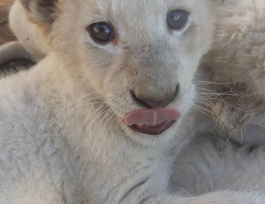 13062423_10209404669377473_2881216620388067462_n (3)