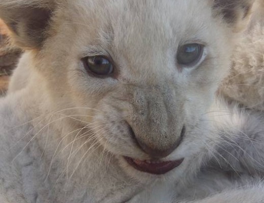 13087722_10209404669617479_1527563174078105313_n (3)