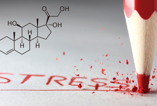 cortisol-the-stress-hormone