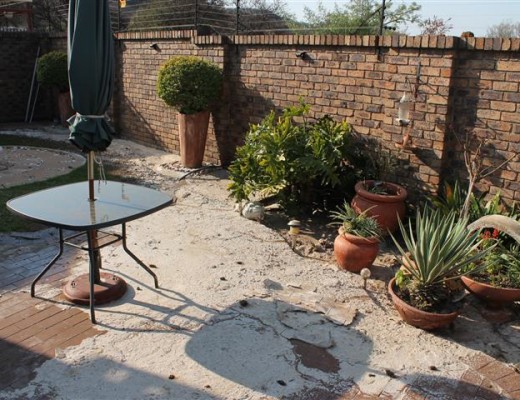 IT STINKS: Sewer in the back of the yard.